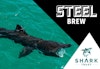 SHARK 07